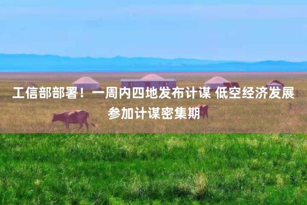 工信部部署！一周内四地发布计谋 低空经济发展参加计谋密集期