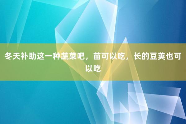 冬天补助这一种蔬菜吧，苗可以吃，长的豆荚也可以吃