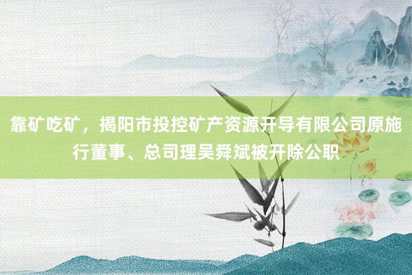 靠矿吃矿，揭阳市投控矿产资源开导有限公司原施行董事、总司理吴舜斌被开除公职