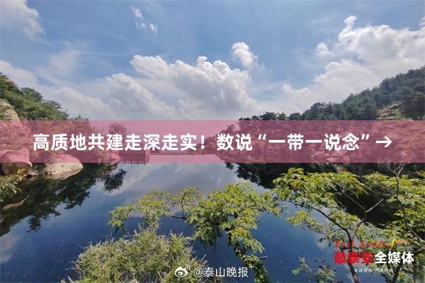 高质地共建走深走实！数说“一带一说念”→
