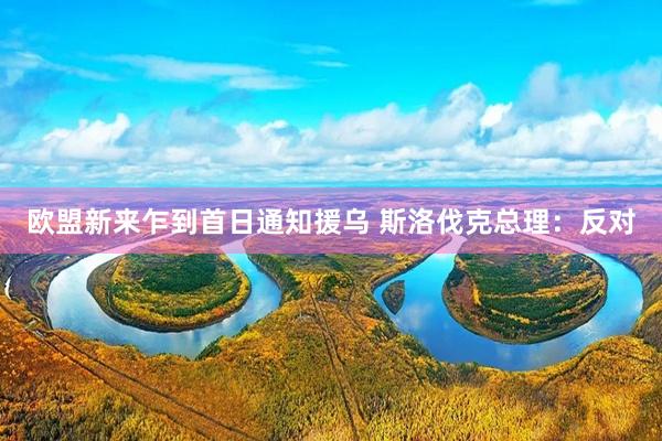 欧盟新来乍到首日通知援乌 斯洛伐克总理：反对