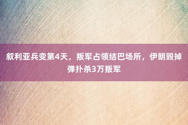 叙利亚兵变第4天，叛军占领结巴场所，伊朗毁掉弹扑杀3万叛军