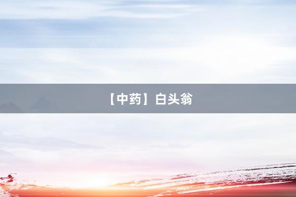 【中药】白头翁