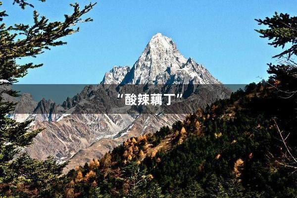 “酸辣藕丁”