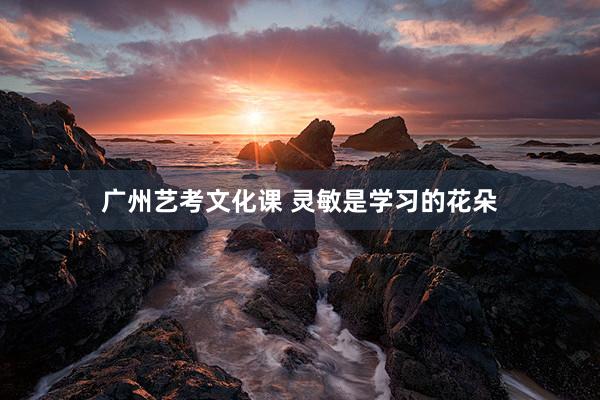 广州艺考文化课 灵敏是学习的花朵